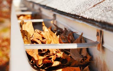 Lower Ardtun gutter cleaning companies