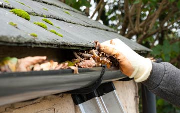 gutter cleaning Lower Ardtun, Argyll And Bute